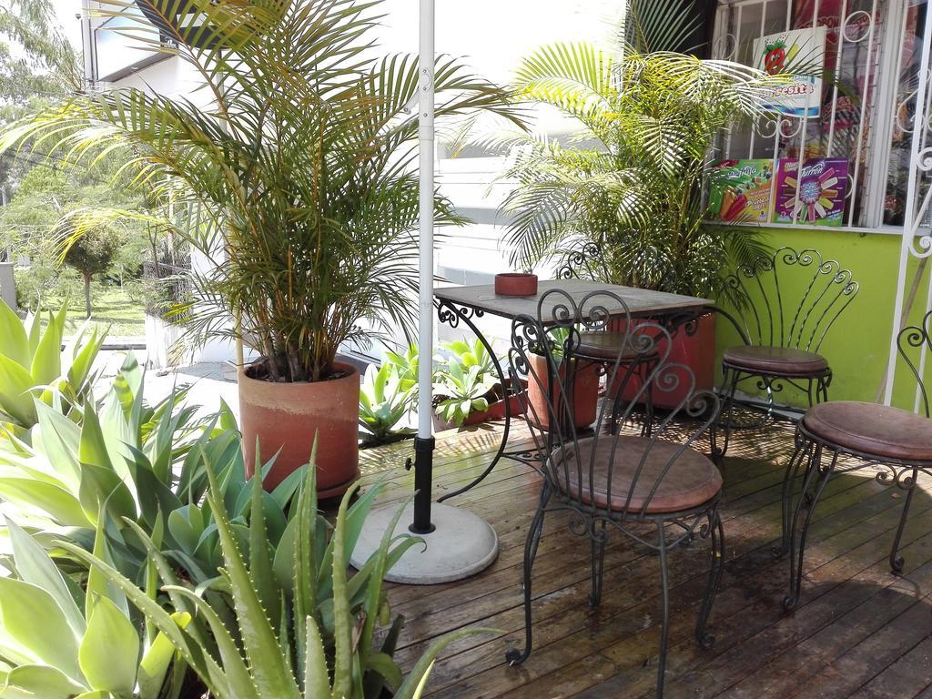 Spring City Hostel Medellín Eksteriør bilde